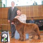 Превью фото № 3456