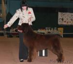 Превью фото № 34614