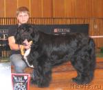 Превью фото № 3466