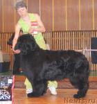 Превью фото № 3467