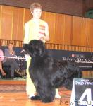 Превью фото № 3468