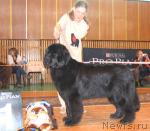 Превью фото № 3472