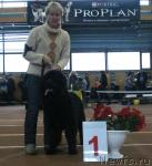 Превью фото № 34721