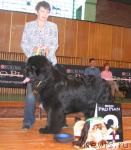 Превью фото № 3474