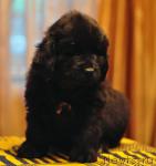 Превью фото № 34754