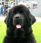 Превью фото № 34876