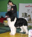 Превью фото № 34889