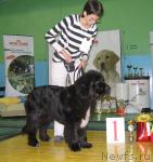 Превью фото № 34891