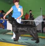 Превью фото № 34894