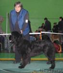 Превью фото № 34895