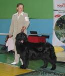 Превью фото № 34897