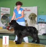 Превью фото № 34898