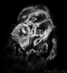 Превью фото № 34919