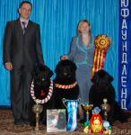 Превью фото № 3493