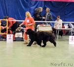 Превью фото № 34942