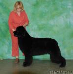 Превью фото № 34945