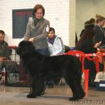 Превью фото № 34973