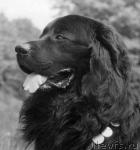 Превью фото № 350