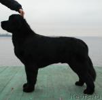 Превью фото № 35153