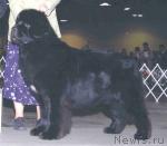 Превью фото № 35261