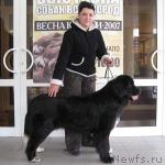 Превью фото № 3538