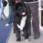 Превью фото № 3539