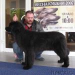 Превью фото № 3541