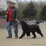 Превью фото № 3543