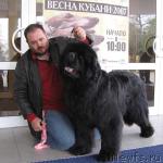 Превью фото № 3545