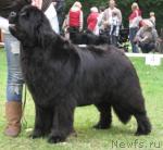 Превью фото № 35469