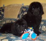 Превью фото № 35565