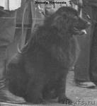 Превью фото № 356