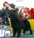 Превью фото № 35645