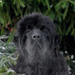 Превью фото № 35670