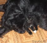 Превью фото № 35697