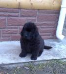 Превью фото № 35715