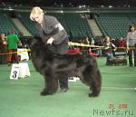 Превью фото № 3600