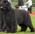 Превью фото № 3634