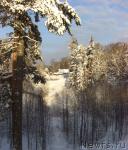 Превью фото № 36406