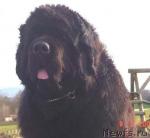 Превью фото № 36542