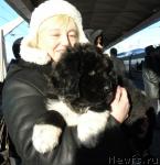 Превью фото № 36551