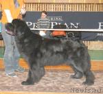 Превью фото № 3656