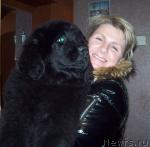 Превью фото № 36724