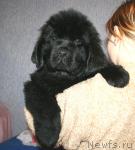 Превью фото № 36784