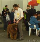 Превью фото № 3683