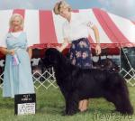 Превью фото № 3688