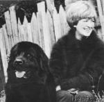 Превью фото № 36984