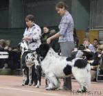 Превью фото № 37063