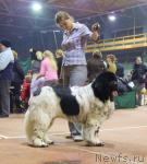 Превью фото № 37064