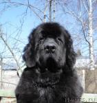 Превью фото № 3713